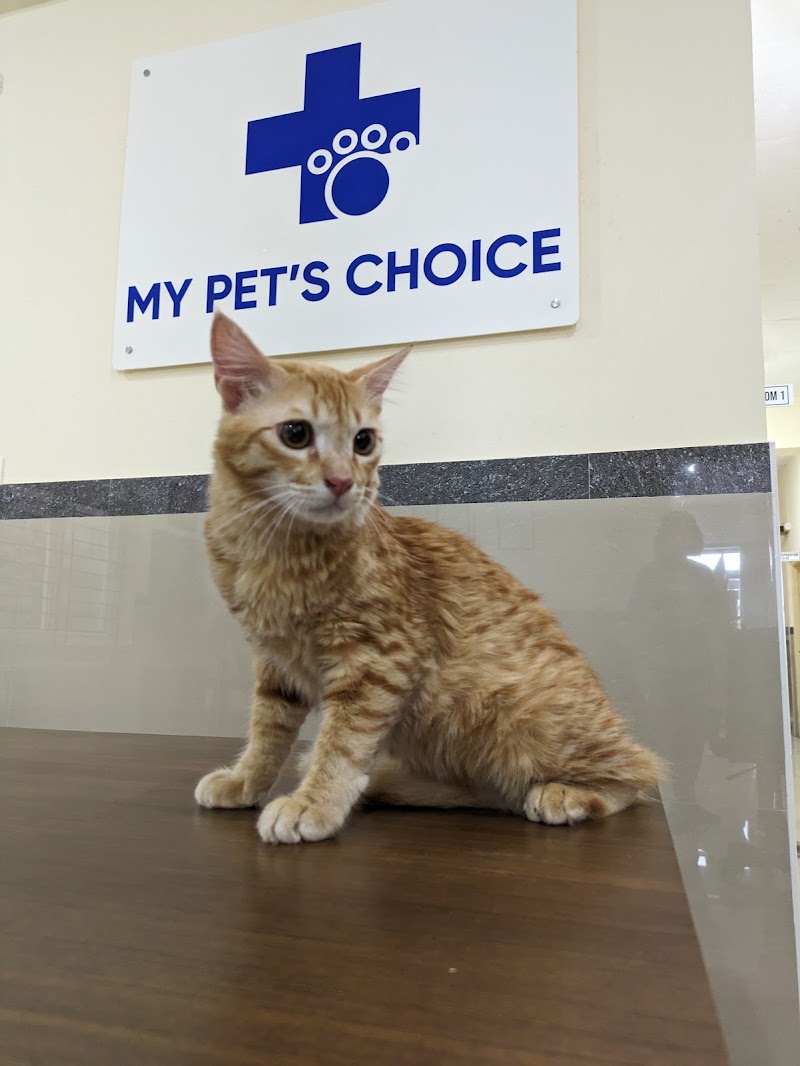 My Pet’s Choice Electronic city