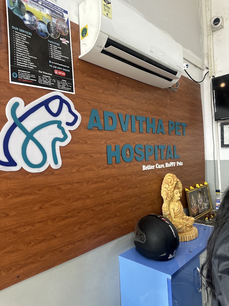Advitha Pet Hospital – Chandapura