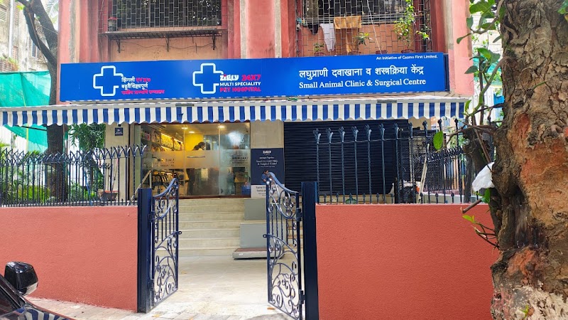 Zigly Petcare 24×7 Multi-Speciality Pet Hospital I Small Animal Clinic & Surgical Center