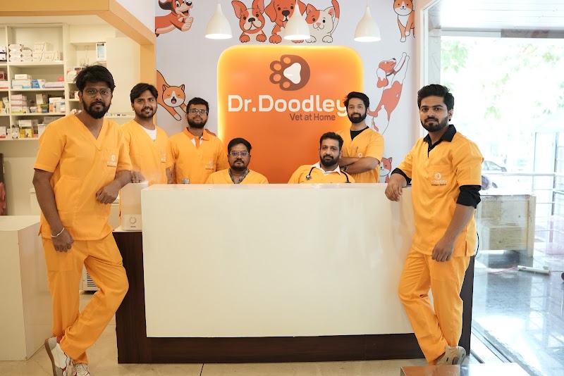Dr. Doodley Pet Hospital Yelahanka – 24×7