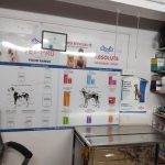 Dr Pet Vet on call | Home Vet | Pet Dr. at Home | Pet Vaccination at Home Bandra East