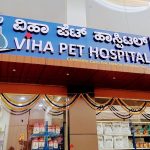 Viha Pet Hospital