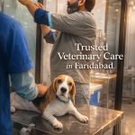 Faridabad Pet Clinic