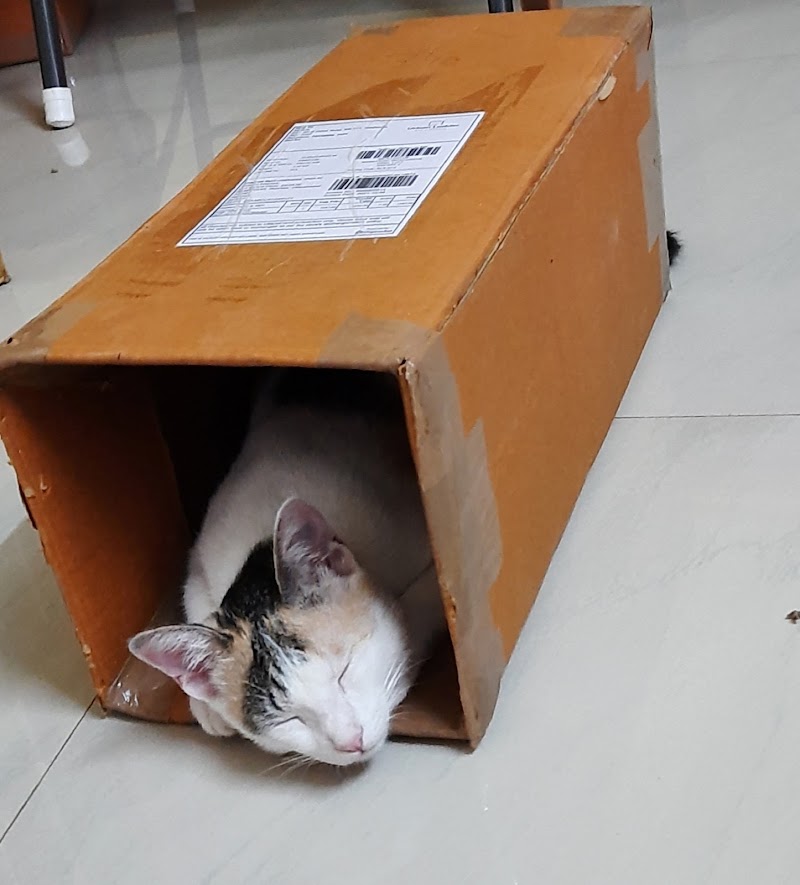 Neha Veterinary Clinic