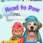 Pet Essentials – The Pet Store, Pet Clinic and Pet Spa BTM