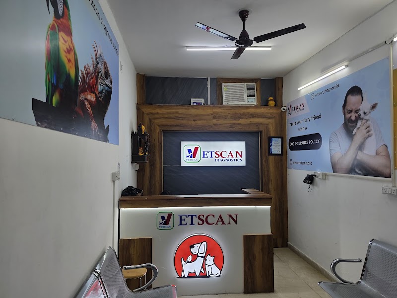 Vetscan Diagnostics