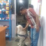 Vedant Petshop And Clinic