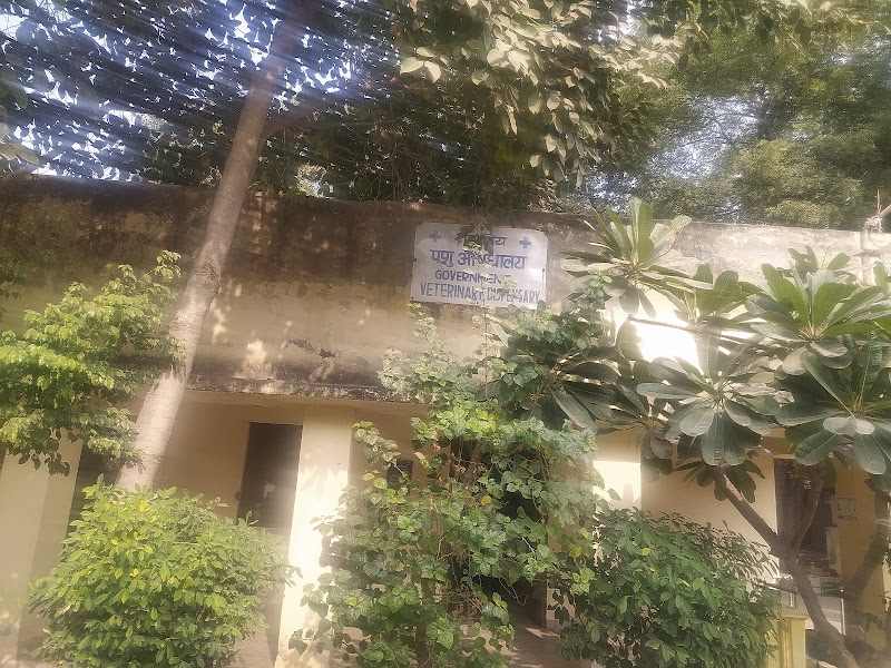 AC 36,AERO Animal Veterinary Hospital
