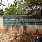 Krupa Loving Animal
