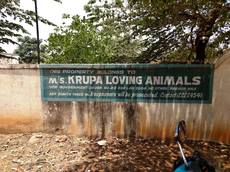 Krupa Loving Animal
