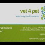 Vet 4 pet veterinary service