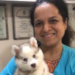 Pets N Vets