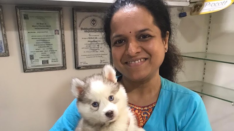 Pets N Vets