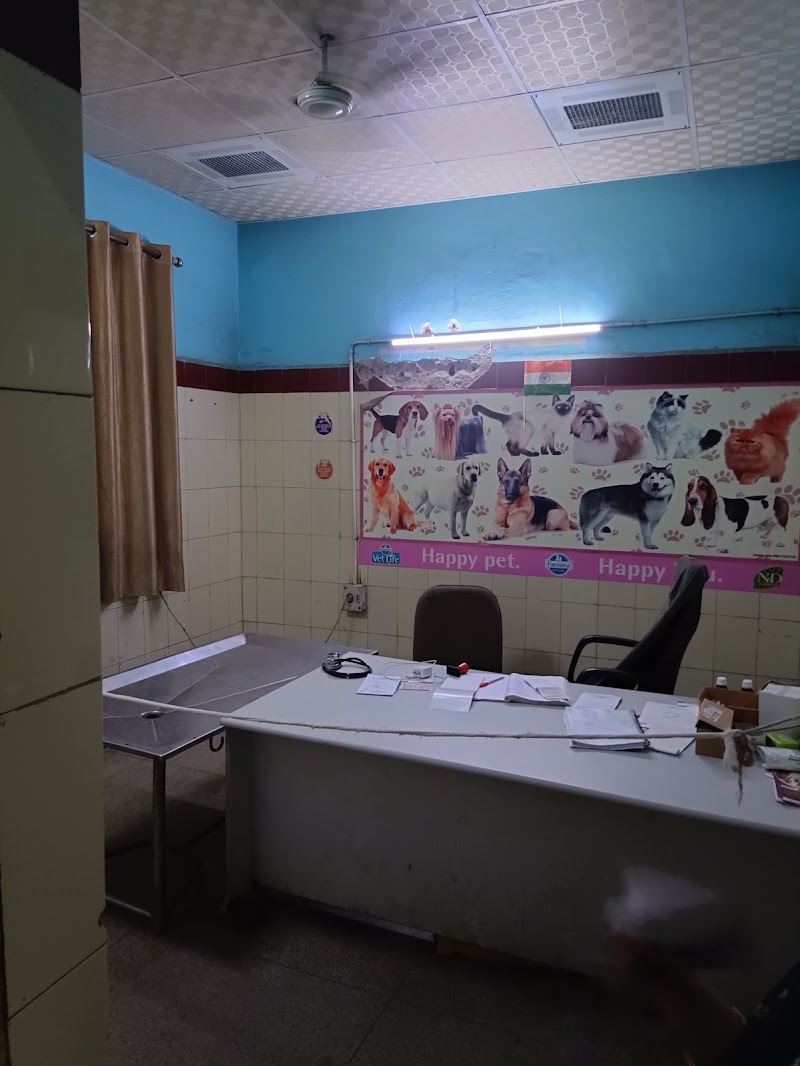 Animal Hospital, Tis Hazari, Delhi Government