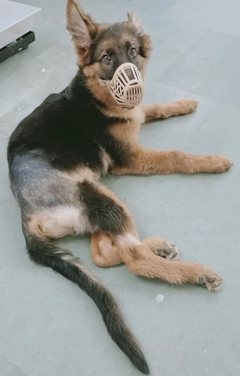 Total Pet Care Veterinary Clinic & Surgery Center