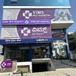 VIMS Pet Hospital – Trusted Veterinarian Clinic for pets