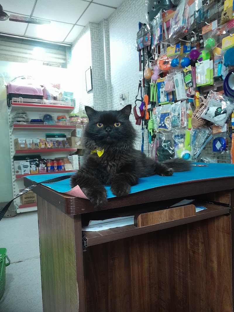 My Pet’s World pets clinic