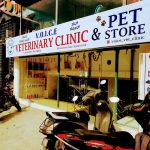 Veterinary Doctor home visits