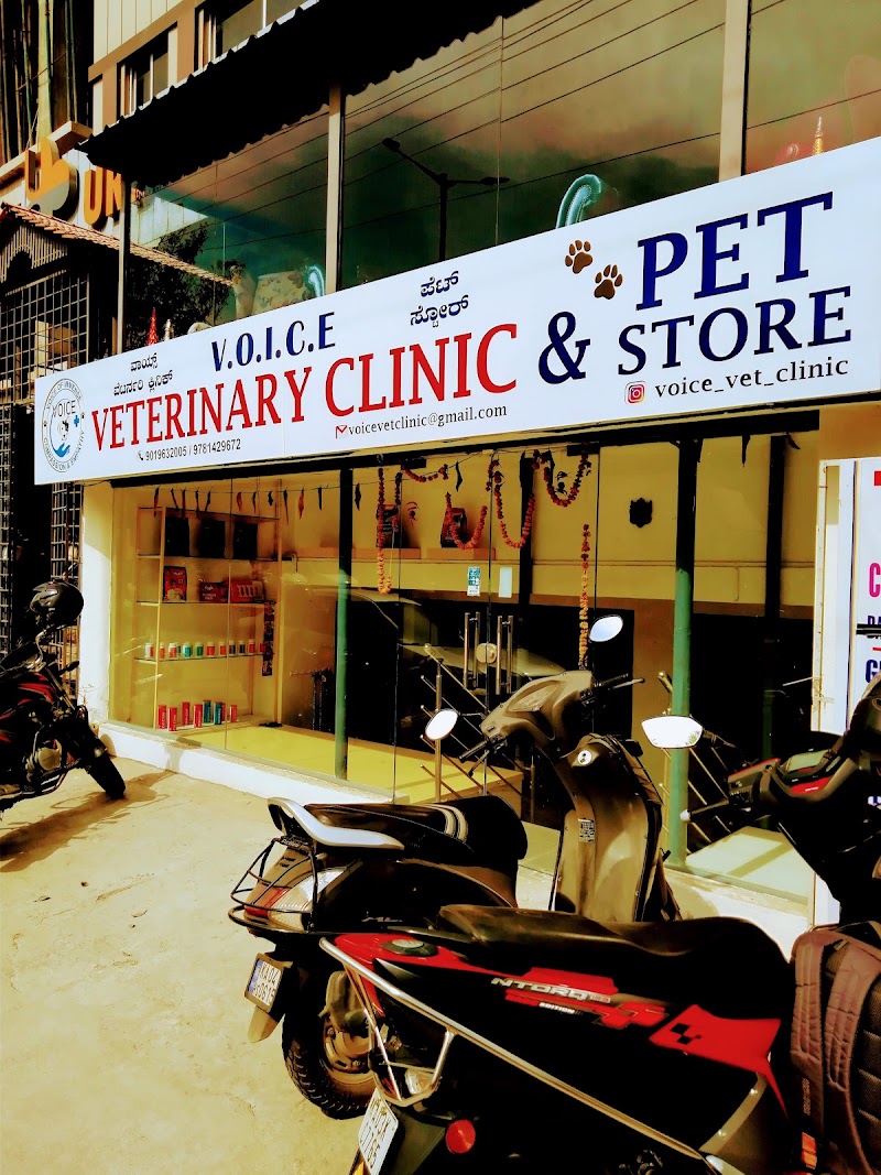 Veterinary Doctor home visits