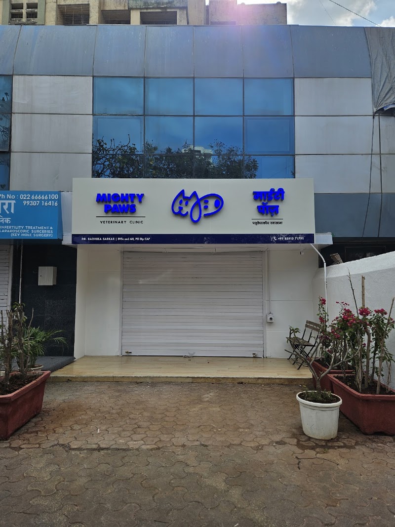 Mighty Paws Veterinary Clinic