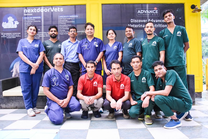 nextdoorVets Veterinary Hospital – Kasavanahalli
