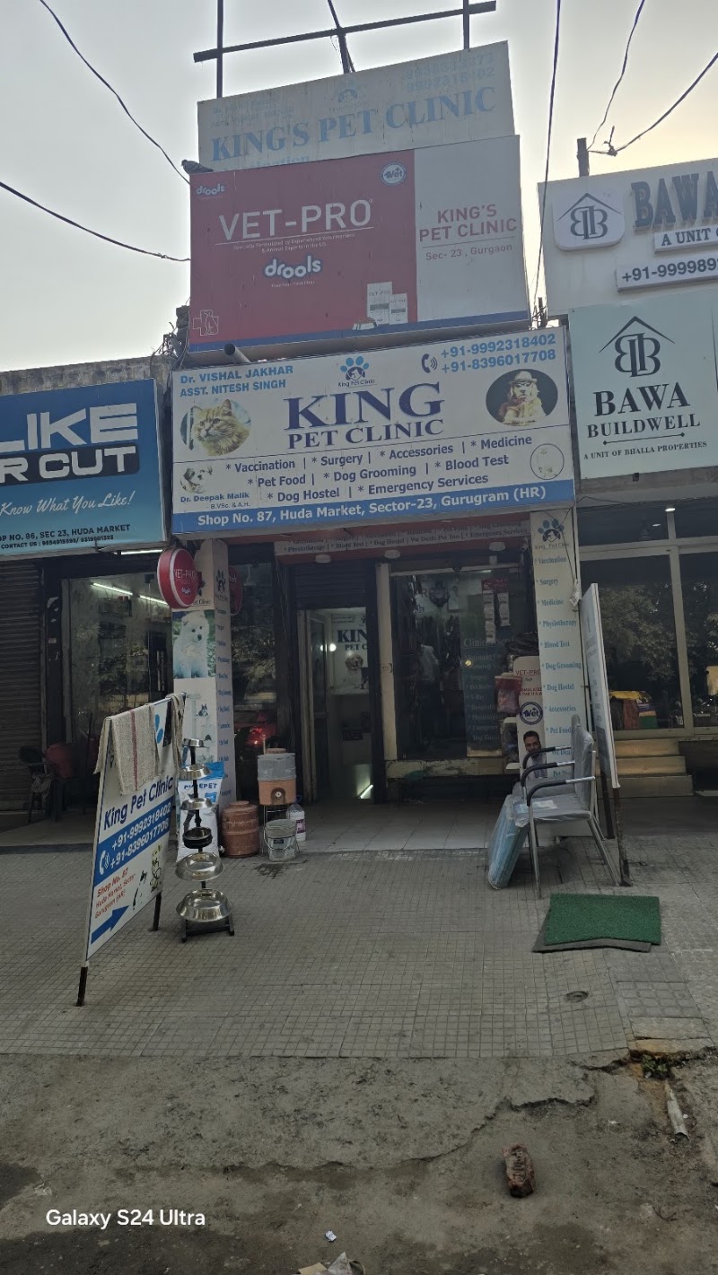 King Pet Clinic