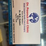 Dr poonch pet clinic