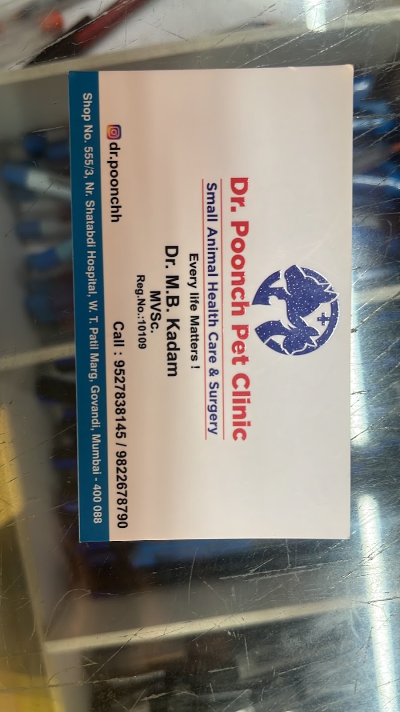 Dr poonch pet clinic