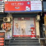 DR. U.S. PET CLINIC