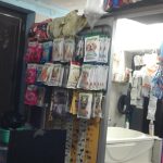 Peddy Pet Clinic
