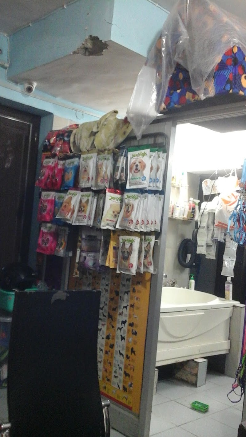 Peddy Pet Clinic