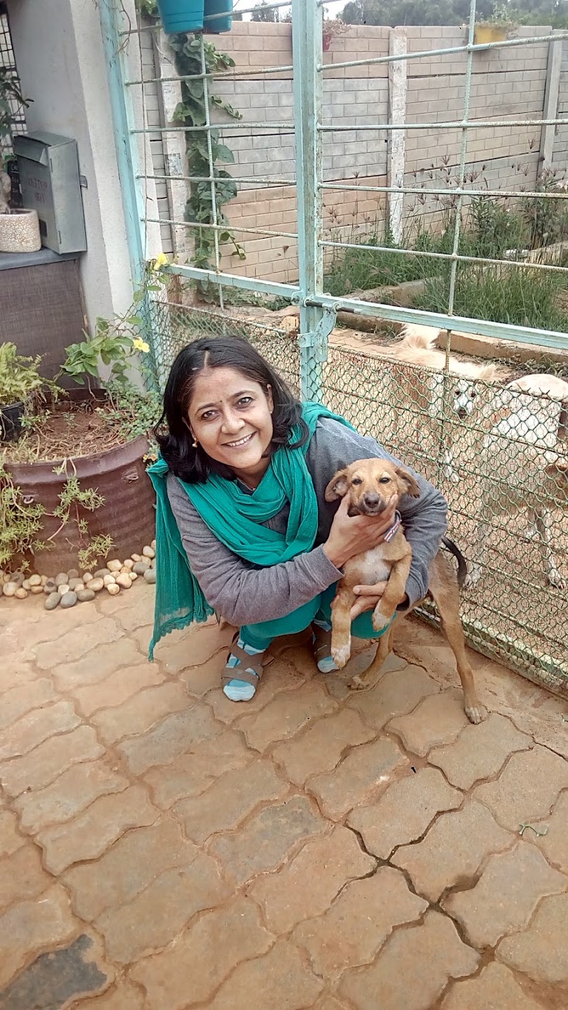 Your’s Pet Vet Clinic
