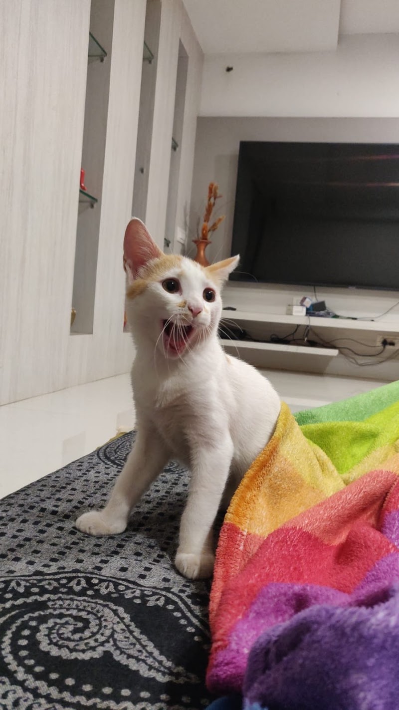 PetZone Powai Veterinary Clinic