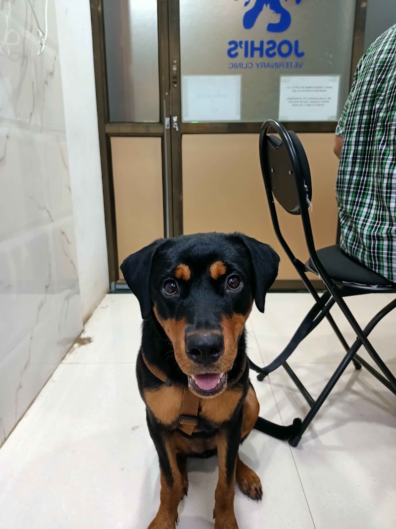 JOSHI’S VETERINARY CLINIC | Pet Medical & Surgical Clinic