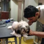 K9 Vet Clinic and Grooming (Dr.KV. Venugopal)