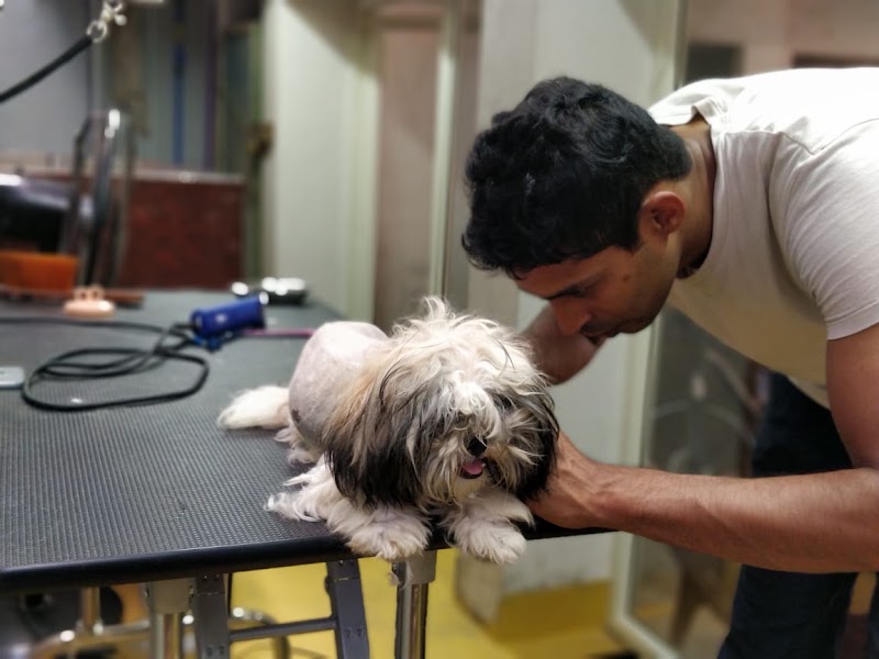 K9 Vet Clinic and Grooming (Dr.KV. Venugopal)