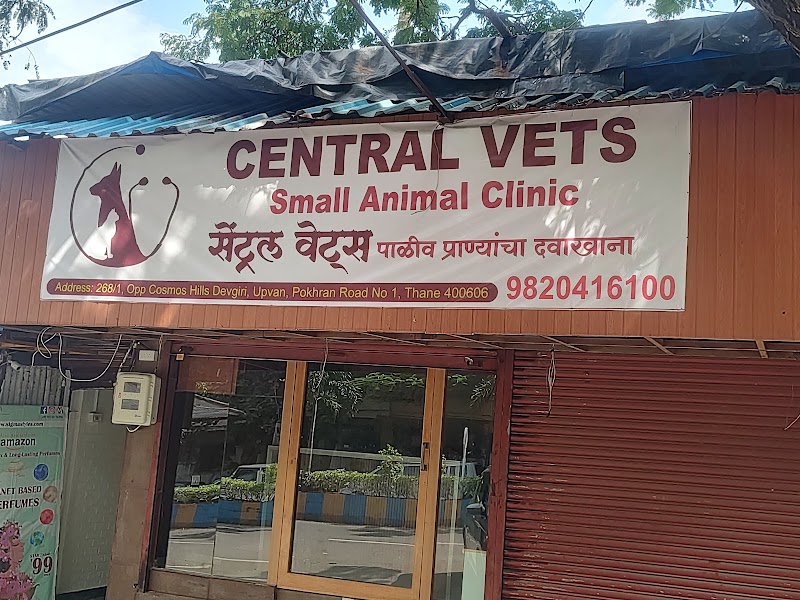 Central Vets Small Animal Clinic