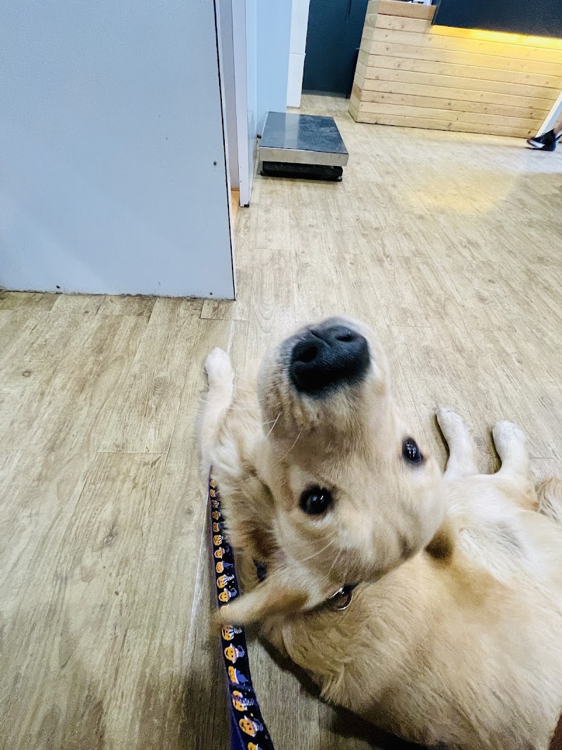 PetZone Mahalaxmi Veterinary Clinic