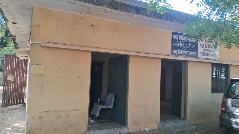 Government veterinary hospital