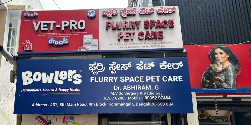 Flurry Space Pet Clinic