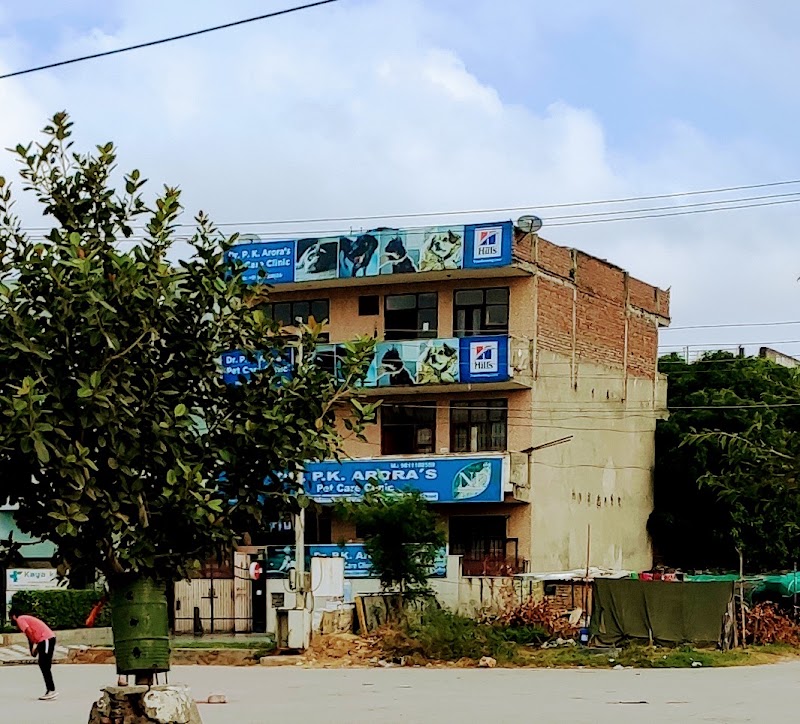 Dr P K Arora’s pet hospital