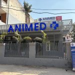 Animed Veterinary Clinic Gurgaon