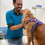 HOPE Veterinary Clinic