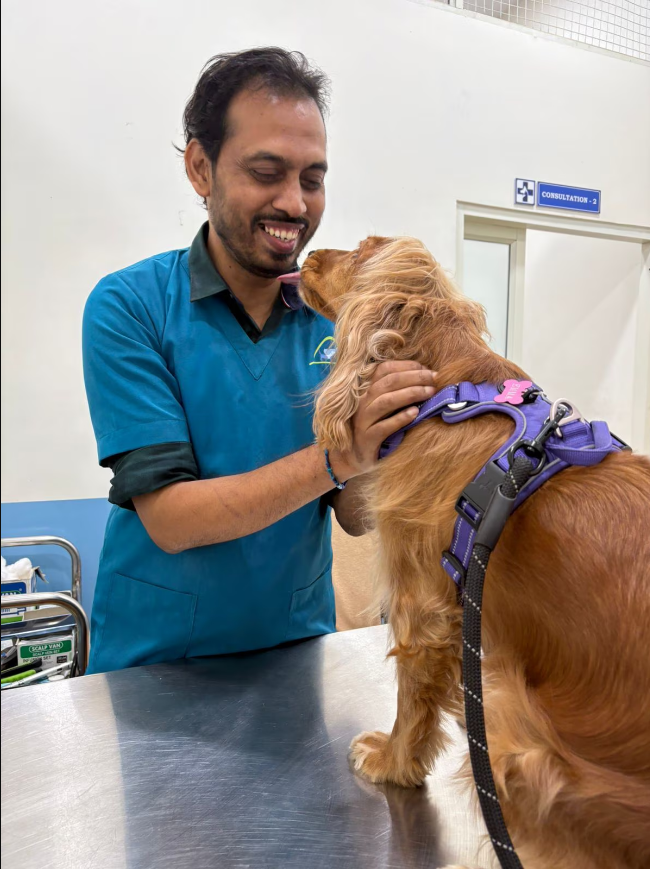 HOPE Veterinary Clinic