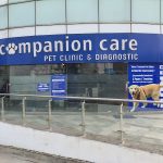 Companion Care Pet Clinic and Diagnostic