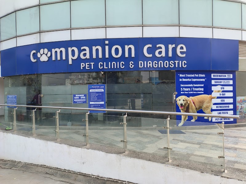 Companion Care Pet Clinic and Diagnostic