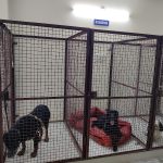 Urban Vet Pet Clinic