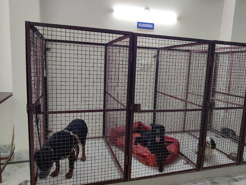 Urban Vet Pet Clinic
