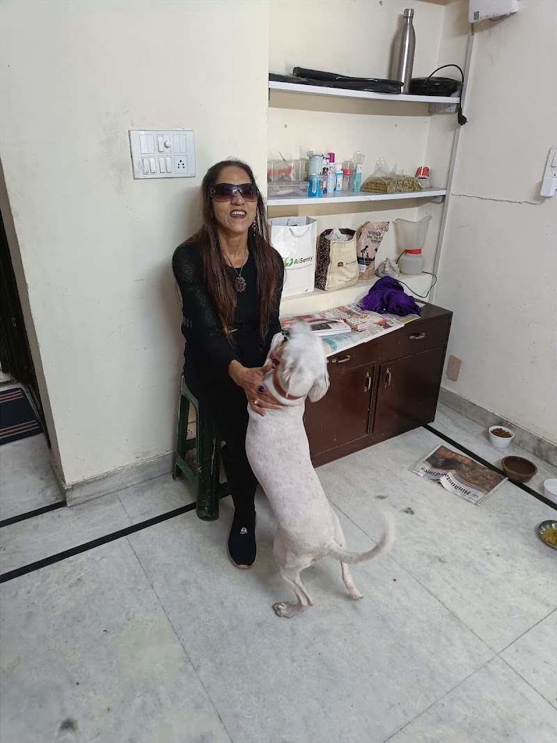 PetSphere