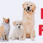Dr. Reddy’s Pet’s Clinic
